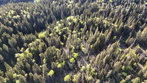 View of property location