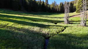 View of grassy yard featuring a view of trees