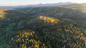Mountain view with a heavily wooded area