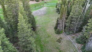 Aerial view of property's location