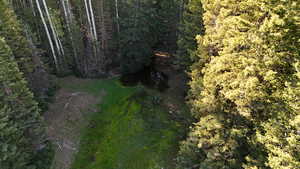 Aerial overview of property's location featuring a heavily wooded area
