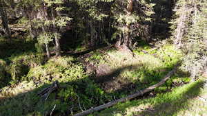 View of undeveloped land