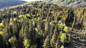 Mountain view with a forest