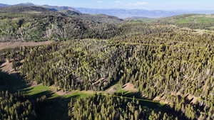 Aerial view of property and surrounding area with property parcel outlined and a mountain backdrop