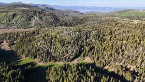 View of mountain backdrop featuring a forest