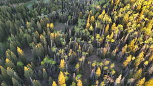 Aerial view of property and surrounding area with a heavily wooded area