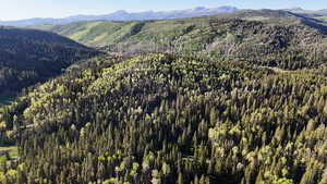 Mountain view with a heavily wooded area