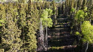 View of tree filled area