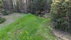 View of green lawn with a view of trees