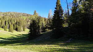 View of wooded area