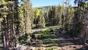 View of woods