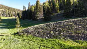 View of grassy yard with a wooded view