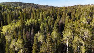 View of mountain background featuring a heavily wooded area