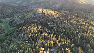 Aerial view of property's location with a heavily wooded area and mountains
