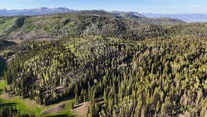 Mountain view with a heavily wooded area