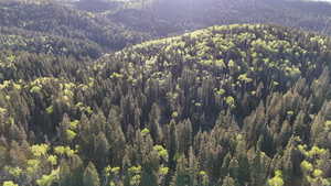 View of property location featuring a forest