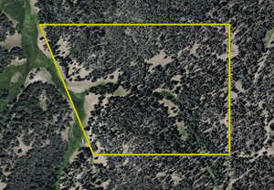 Map / location featuring property boundaries highlighted