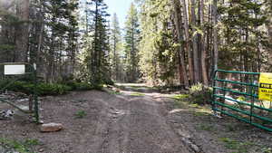 View of dirt / gravel road featuring a gated entry and a view of trees