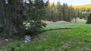 View of yard featuring a view of trees