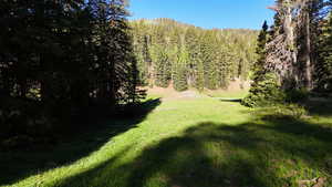 View of grassy yard featuring a view of trees