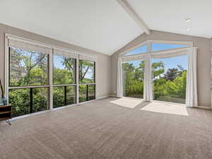 Unfurnished living room with carpet flooring and healthy amount of natural light