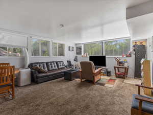 Living room featuring carpet and healthy amount of natural light