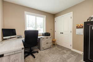 Office featuring light carpet