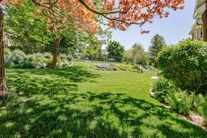 View of green lawn