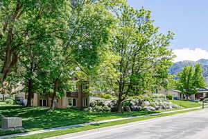 View of property hidden behind natural elements with a front lawn and a mountain view