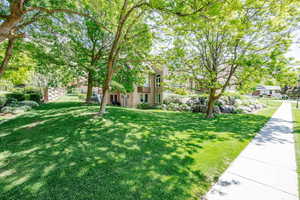 View of grassy yard