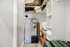 Spacious closet featuring carpet floors