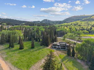 Mountain view featuring a forest