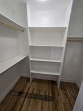 Walk in closet with wood finished floors