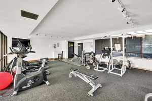 Workout area featuring rail lighting
