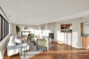 Living area with dark wood finished floors, recessed lighting, and a glass covered fireplace