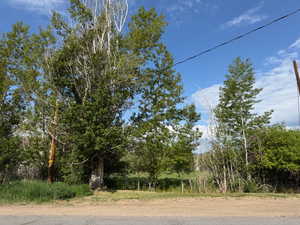 View of local wilderness