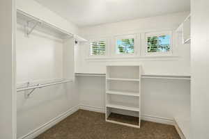Walk in closet with carpet floors