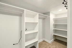 Walk in closet with carpet floors