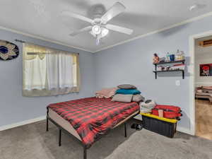 Carpeted bedroom featuring crown molding and ceiling fan
