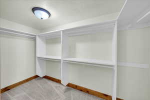 Spacious closet featuring carpet flooring