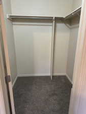 Walk in closet with carpet