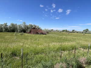 View of nature featuring rural landscape across the street view.