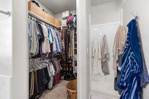 Spacious closet featuring carpet flooring