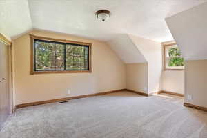 Bonus room with a textured ceiling, lofted ceiling, and carpet