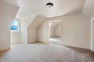 Additional living space featuring vaulted ceiling, light carpet, and a textured ceiling