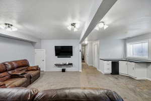Living room featuring light carpet and a textured ceiling