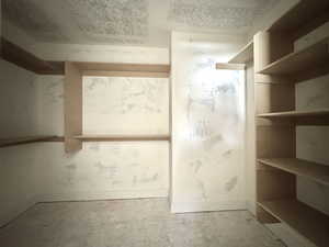 View of walk in closet