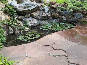 Fish pond