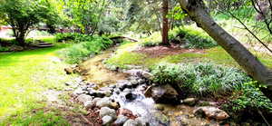 View of grassy yard and creek