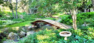 View of creek and walking bridge